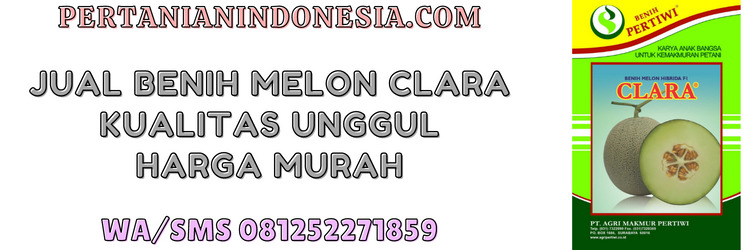 jual,jual benih,jual benih melon clara,agri makmur pertiwi,pertiwi,pertanian indonesia,murah